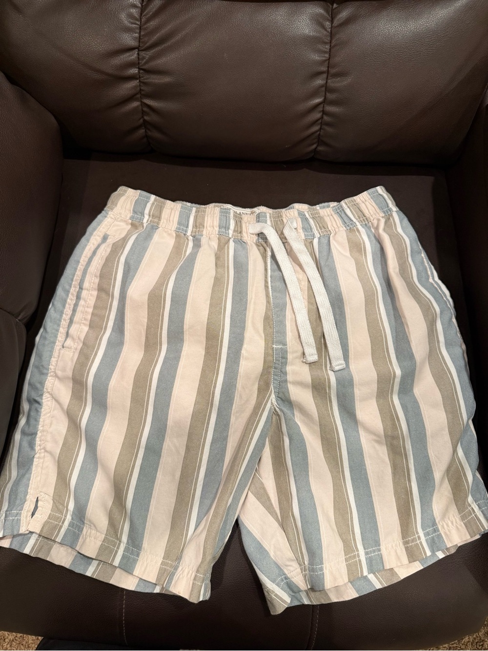 Free Planet Men's Vertical Stripe Swim Trunks in Light Blue, Cream, Tan